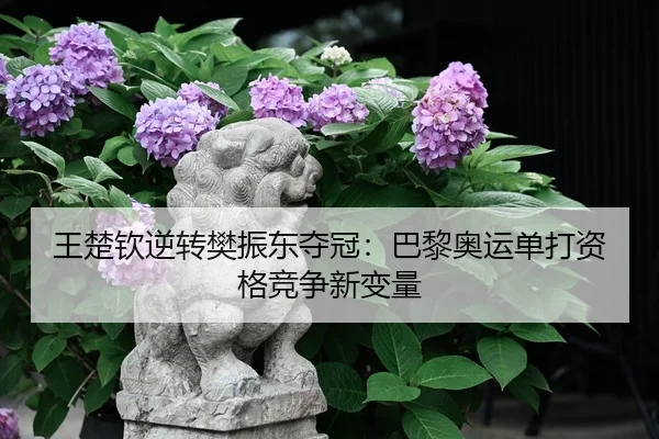 王楚钦逆转樊振东夺冠：巴黎奥运单打资格竞争新变量