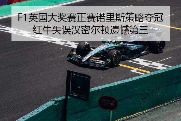 ying-guo-da-jiang-sai-zheng-sai-nuo-li-si-ce-lve-duo-guan-hong-niu-shi-wu-han-mi-er-dun-yi-han-di-san-2-328.jpg