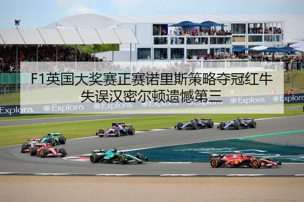 ying-guo-da-jiang-sai-zheng-sai-nuo-li-si-ce-lve-duo-guan-hong-niu-shi-wu-han-mi-er-dun-yi-han-di-san-3-535.jpg