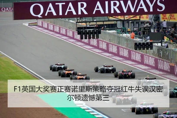 F1英国大奖赛正赛诺里斯策略夺冠红牛失误汉密尔顿遗憾第三