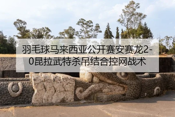 yu-mao-qiu-ma-lai-xi-ya-gong-kai-sai-an-sai-long-kun-la-wu-te-sha-diao-jie-he-kong-wang-zhan-shu-3-978.jpg